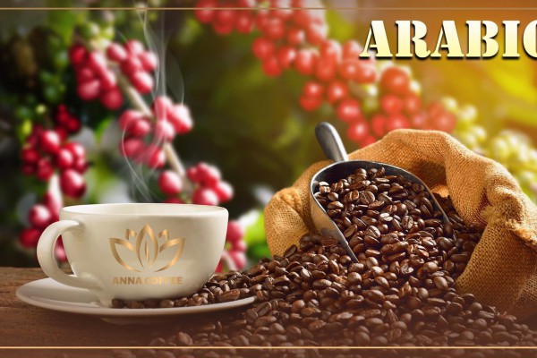 Tìm hiểu về cà phê nhân sống Arabica