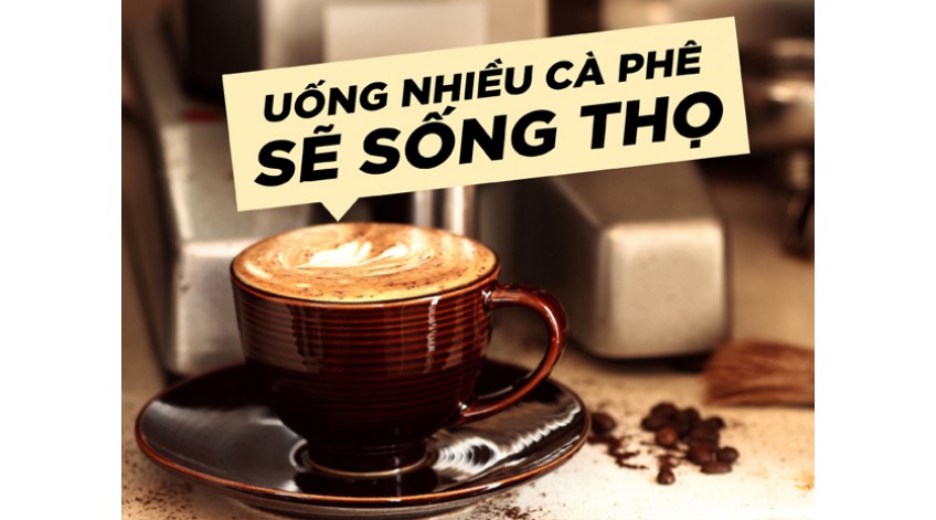 Tác dụng Cafe với tuổi thọ con người